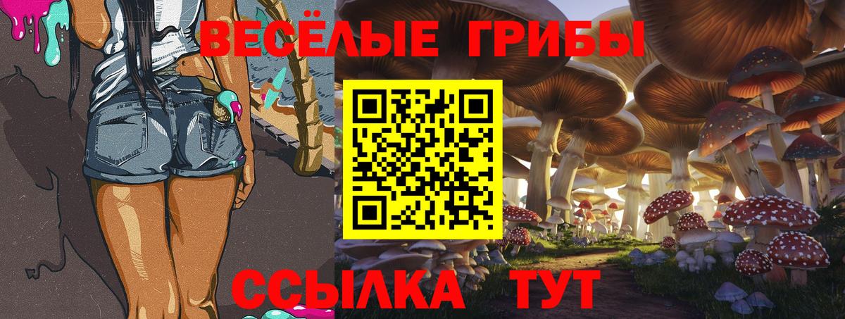 Галлюциногенные грибы MAGIC MUSHROOMS Гурьевск