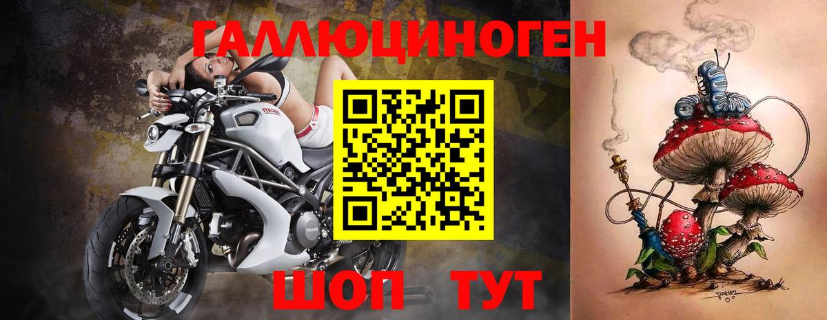 Гурьевск  Галлюциногенные грибы Psilocybine cubensis  Вход с VPN 